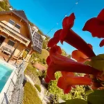 Luxury Panorama • Pool, Quadro Sauna & Views Villa *