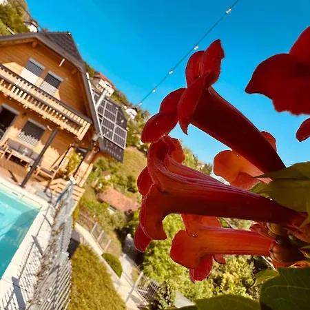 Luxury Panorama • Pool, Quadro Sauna & Views Villa *